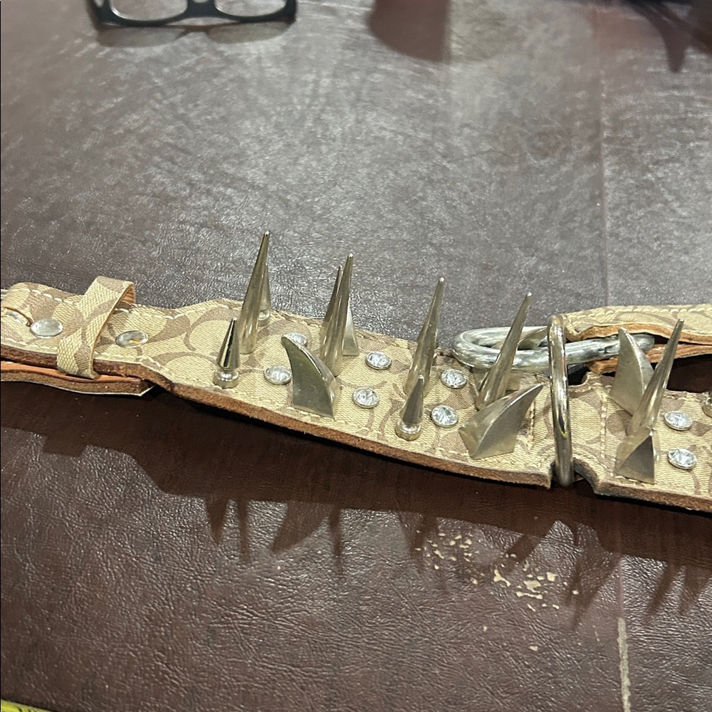 Custom leather heavyweight Dog collar! - Picture 7 of 8